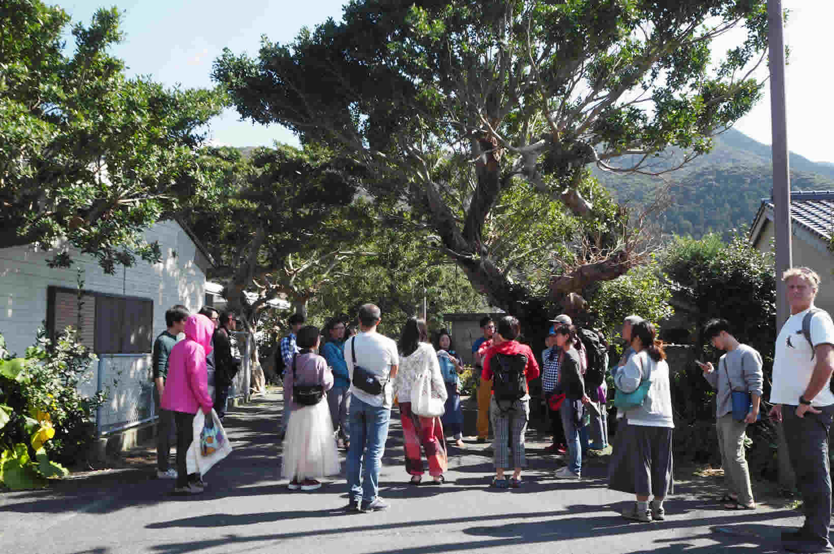 コミュニティ探訪