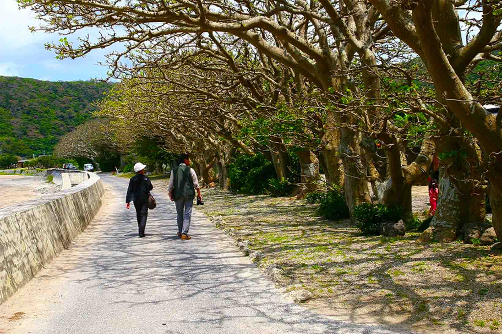 加計呂麻島・諸鈍