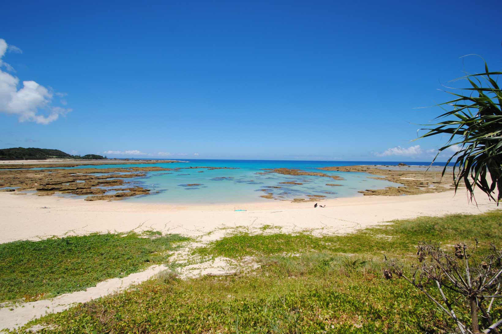土盛海岸