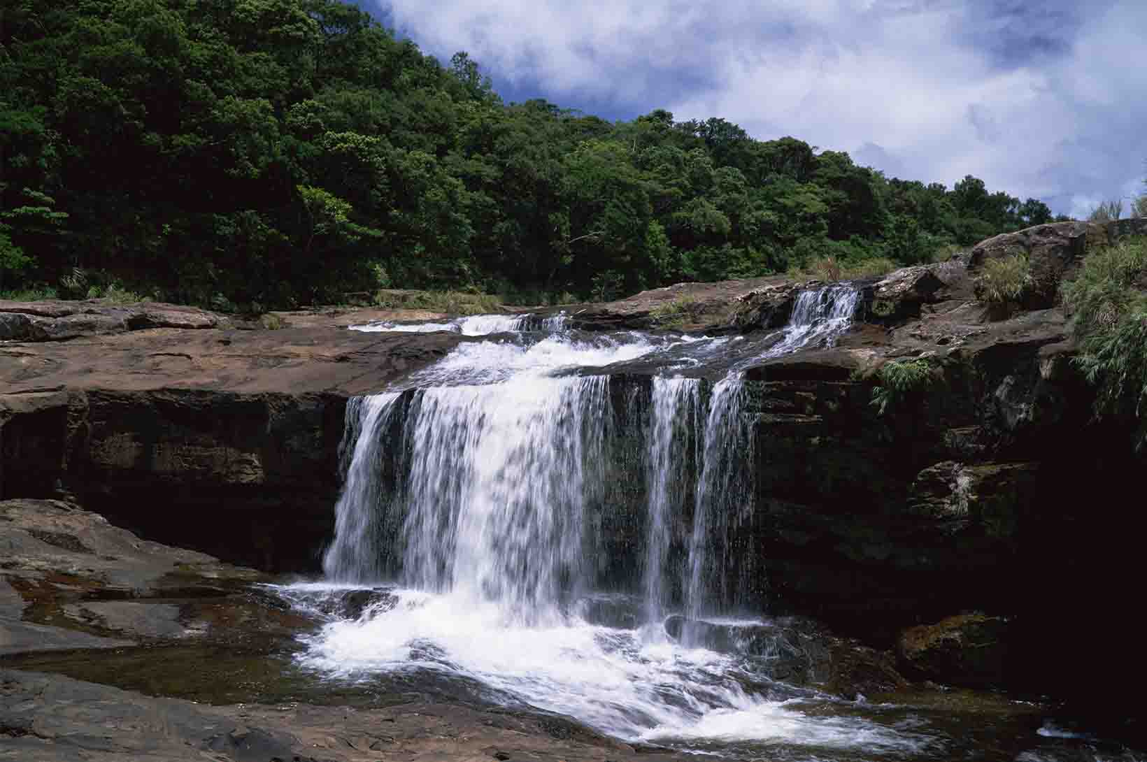 仲間川