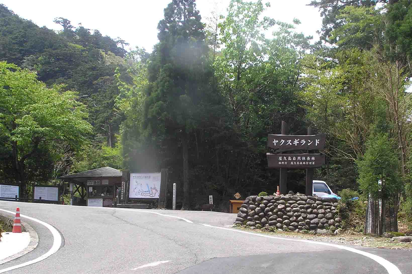 ヤクスギランド入口